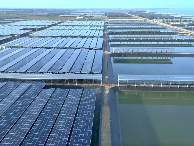 天能綠電以發電、售電一條龍能源服務積極發展綠電交易。（圖片來源：天能綠電）