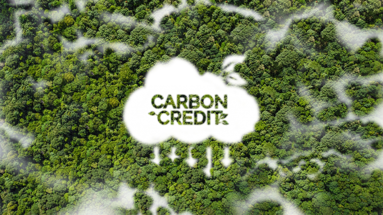 碳權 carbon credits