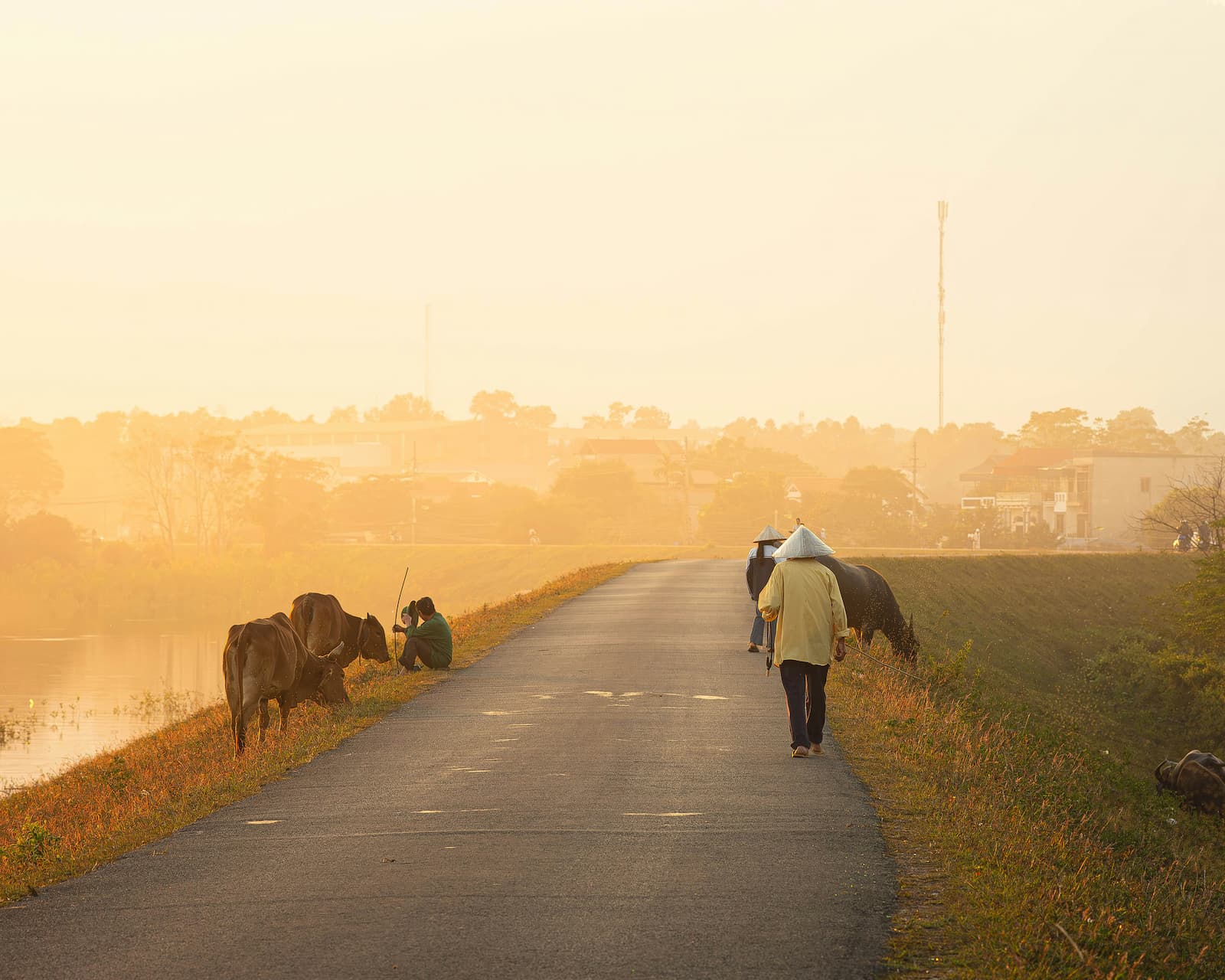 Southeast Asia may be prepared for an El Niño phenomenon, but the lesson of 2026 is that the region needs to prepare for compounding food shocks.
