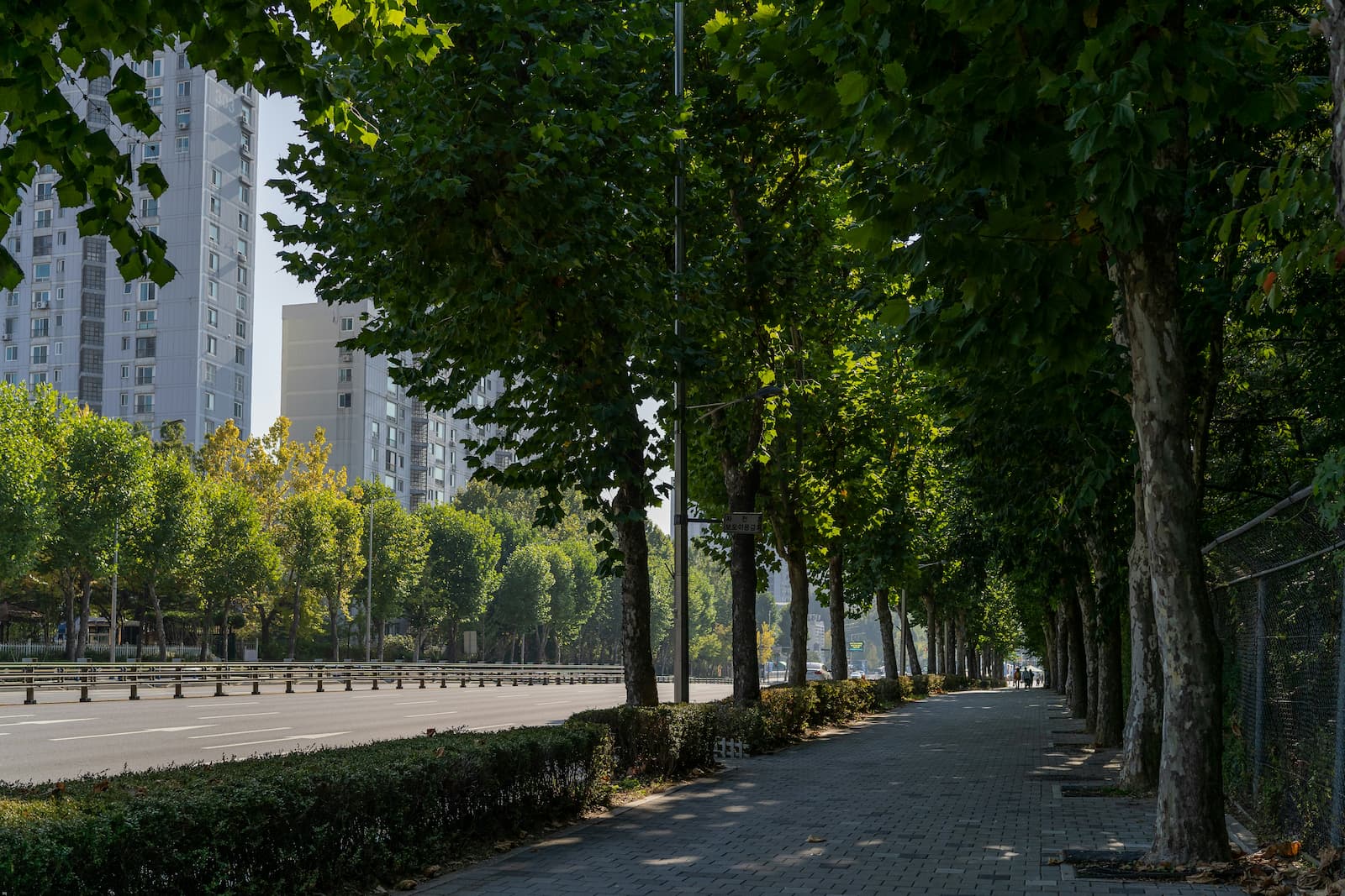 台灣都市林雖面臨颱風與熱島效應等複雜挑戰,但也衍生出降溫、防洪、公共健康等多元效益,成為吸引企業ESG資金的獨特利基。(圖片來源:Unsplash)