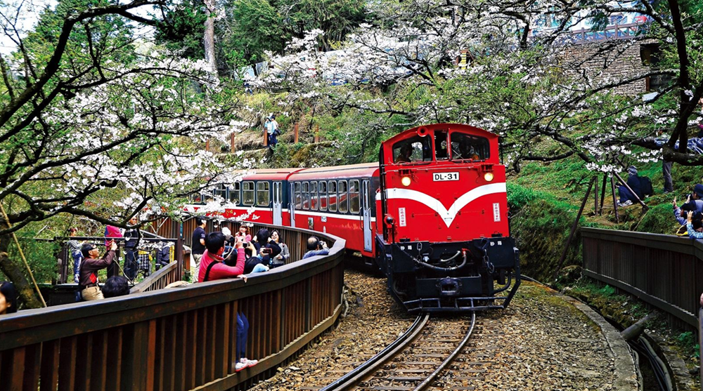 阿里山火車 山林悠遊網