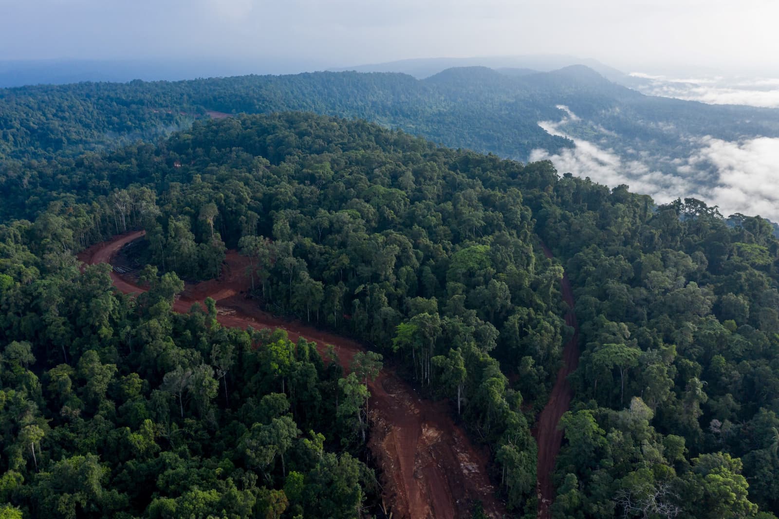 An aerial view from April 2022 of the access road that carves its way through the forest to the 150-megawatt Stung Tatai Leu hydropower dam in Kravanh National Park, on the edge of the Southern Cardamom REDD+ project’s border. Image by Mongabay.