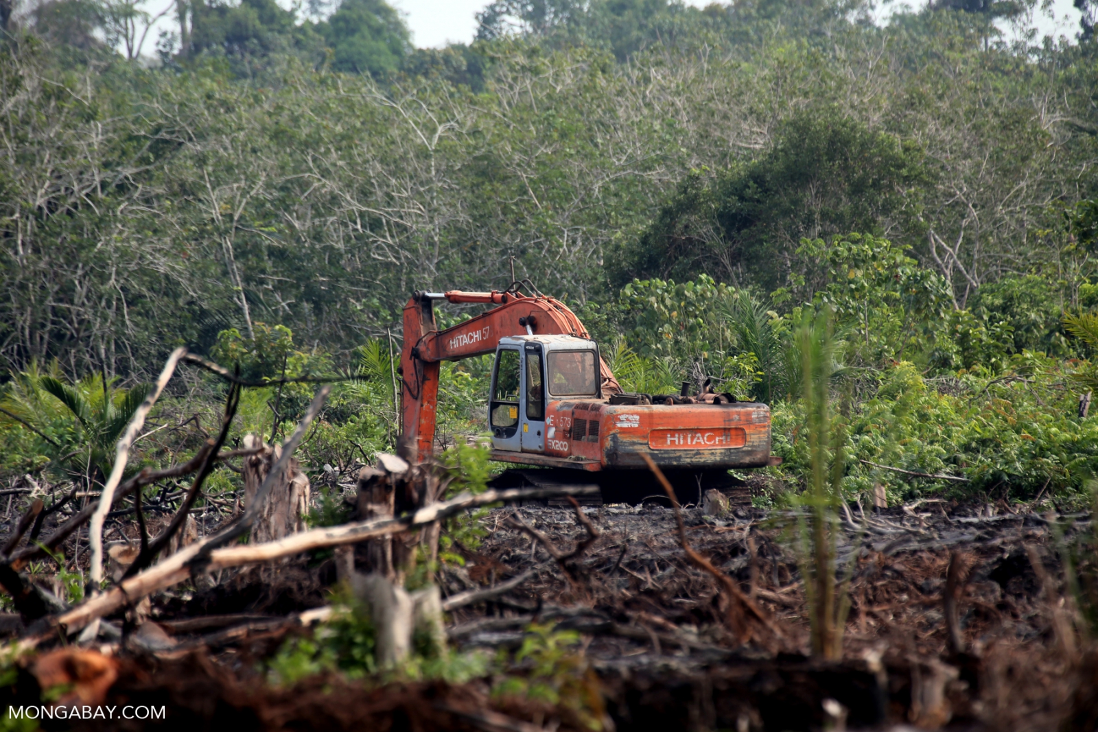 Carbon-rich peatland is cleared for development on Indonesia’s main western island of Sumatra. Image by Rhett A. Butler/Mongabay.