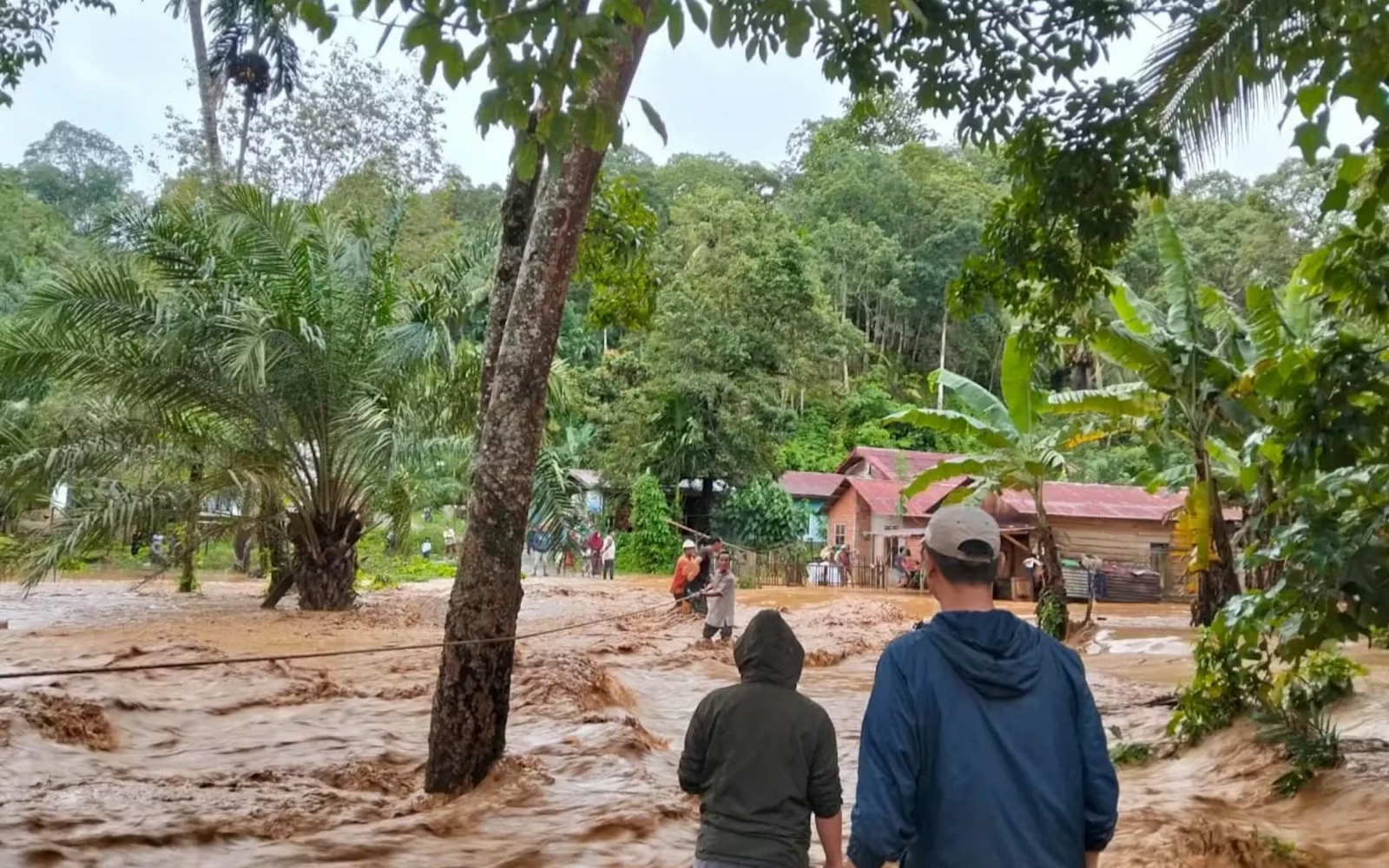 (Image: Indonesian National Board for Disaster Management/ Wikimedia Commons)