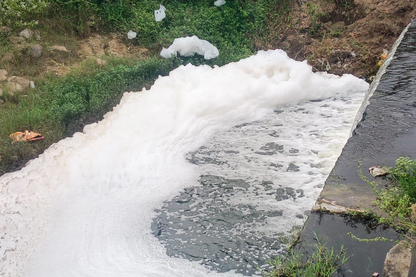 Polluted water from the Palar River flows into a field in the Ambur area of south India’s Tamil Nadu. Activists say the rising foam is due to waste discharged by the state’s numerous tanneries (Image: Varsha Torgalkar)