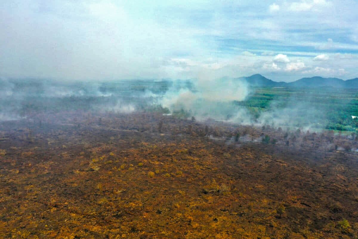 Forest and land fires in West Kalimantan in April 2026. Image courtesy of Walhi West Kalimantan.