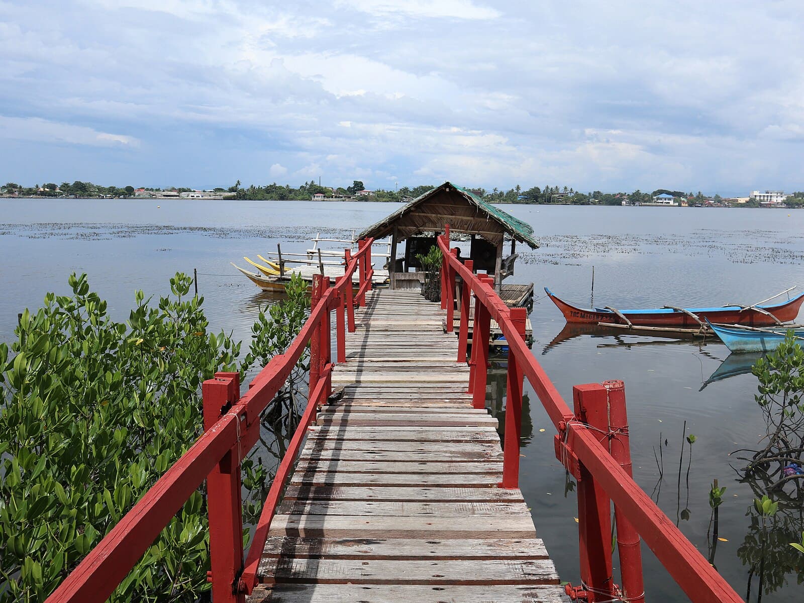 Paraiso Mangrove Eco Learning Park, Tacloban City. Image by Patrickroque01 via Wikimedia Commons (CC BY-SA 4.0).
