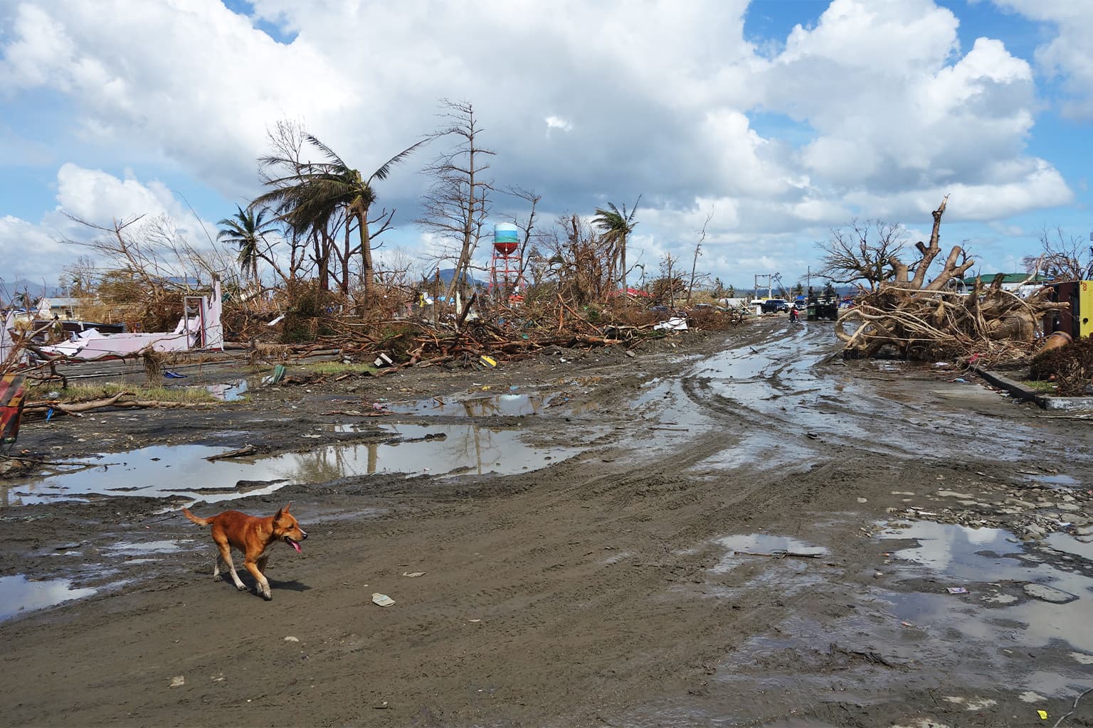 Destruction in Tacloban Typhoon Haiyan in 2013. Image by Department of Foreign Affairs and Trade via Wikimedia Commons (CC BY 2.0).