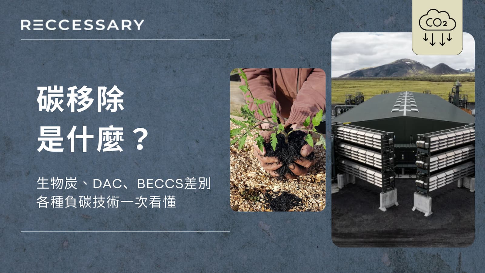 碳移除是什麼？生物炭、DAC、BECCS差在哪？各種負碳技術一次看懂