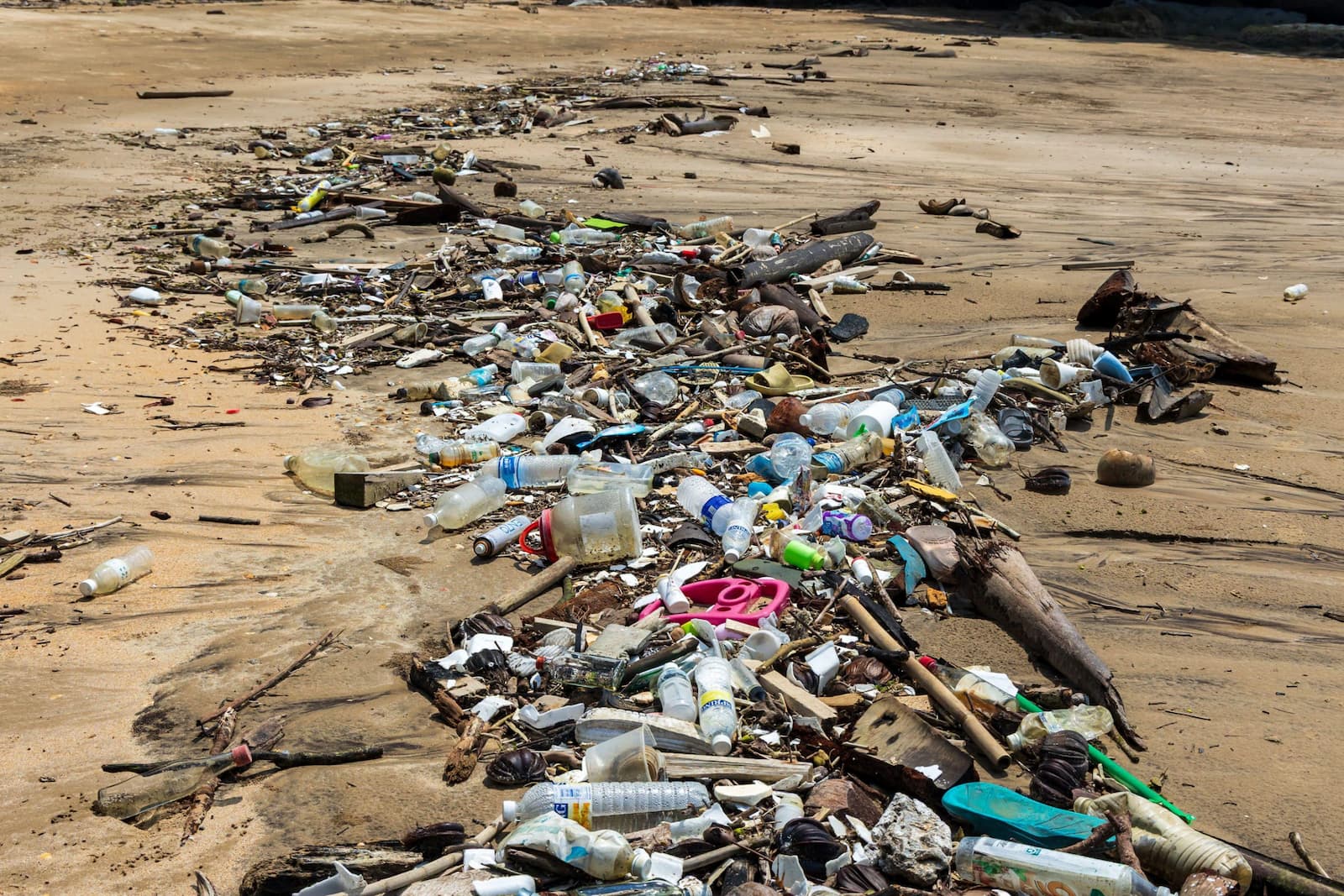 Plastic waste washed up on a beach in Sarawak, Malaysia. The country and some of its regional neighbours have implemented bans on plastic waste imports, but experts fear this will lead to a reshuffling of waste to countries with weaker restrictions, perpetuating the cycle of “waste colonialism” (Image: RDW Environmental / Alamy)