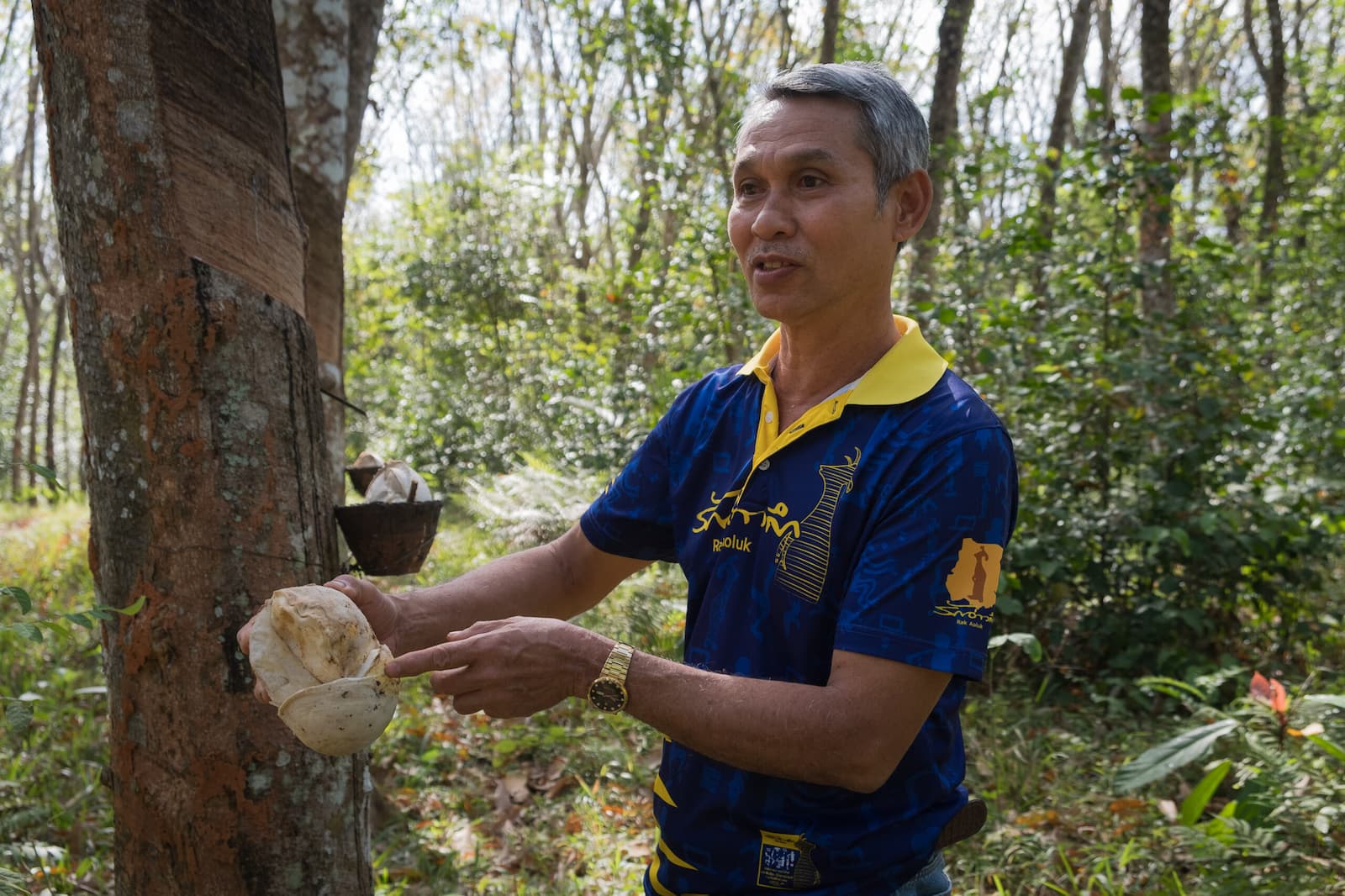 Sathit Phromraksa in his family’s rubber plantation in Krabi province in Thailand. Image by Carolyn Cowan/Mongabay.