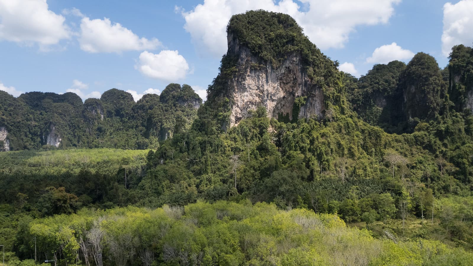 A sea of rubber plantations and oil palm closely surrounds ecologically and geologically significant limestone karst forests in Krabi province. Image by Carolyn Cowan/Mongabay.