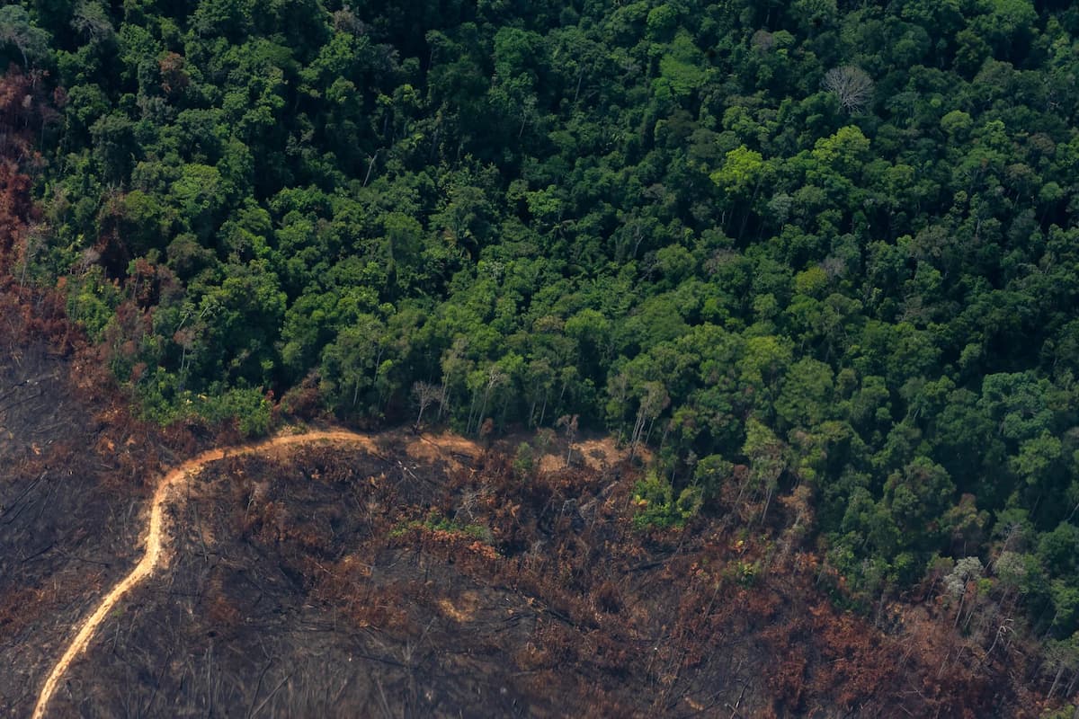 Aerial view of deforestation in the Amazonian state of Pará, Brazil. Tropical forest countries will receive annual payments of USD 4 per hectare of preserved forest, but a deduction of between USD 400 and USD 800 per deforested hectare (Image: Flávia Milhorance)