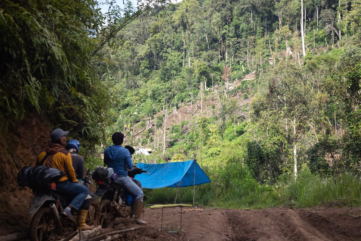 Forested land cleared to make way for a plantation within the customary territory of the Pohoneang community in Seko, Indonesia. At least 20% of the funds received by rainforest countries will have to be earmarked for initiatives that benefit Indigenous peoples and traditional communities, says Batmanian (Image: Junaidi Hanafiah / Dialogue Earth)