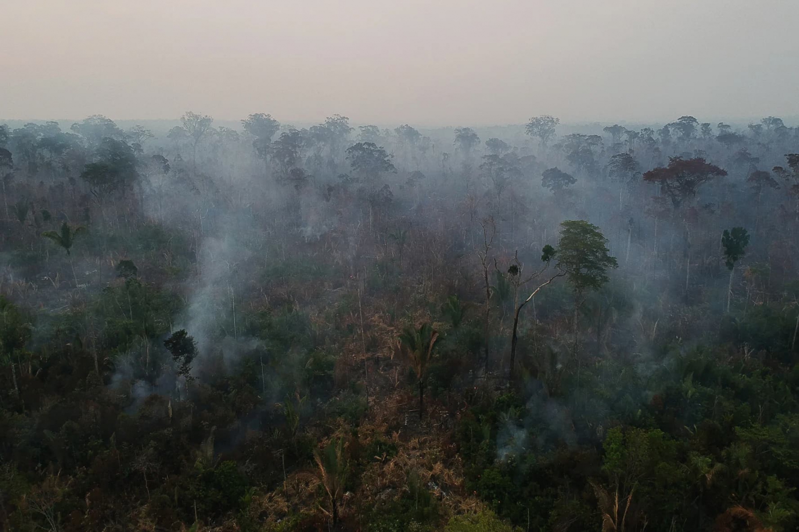 Cleared and burning forest in the municipality of Apuí, Amazonas state, Brazil. The monitoring of forest degradation will be a challenge for the fund, as degraded forest can still appear standing in satellite images, as treetops sometimes do not burn (Image: Bruno Kelly / Amazônia Real, CC BY NC SA)