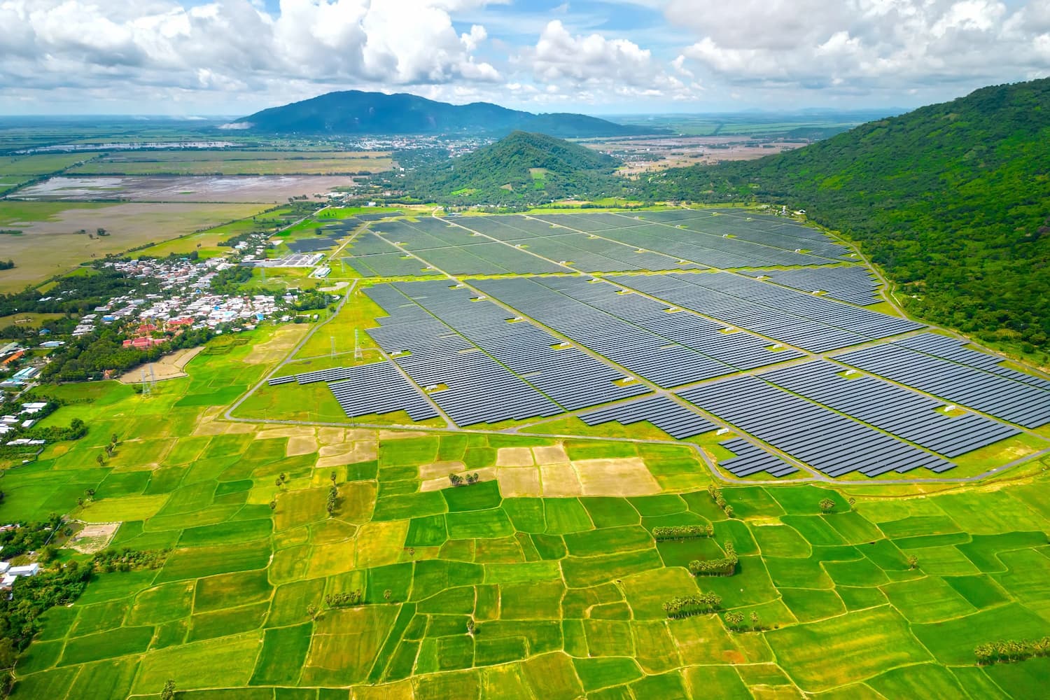 A solar farm bordered by rice fields in Vietnam (Image: Thoai Pham / Alamy)