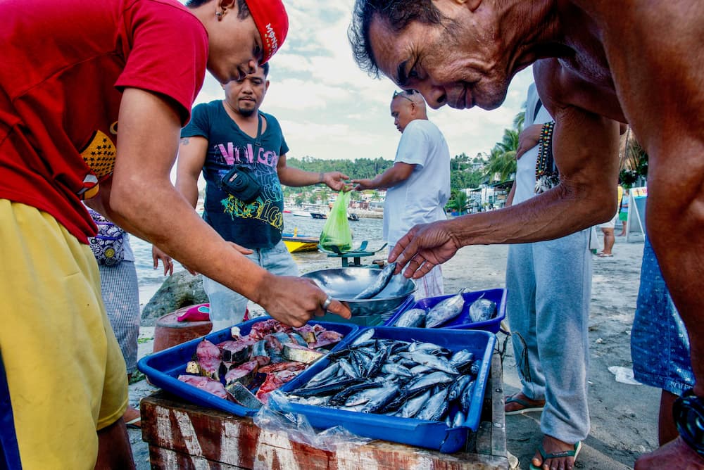 Local people buy fish on the beach at Puerto Galera, on Mindoro Island, the Philippines (Image: Robert Gilhooly / Alamy)