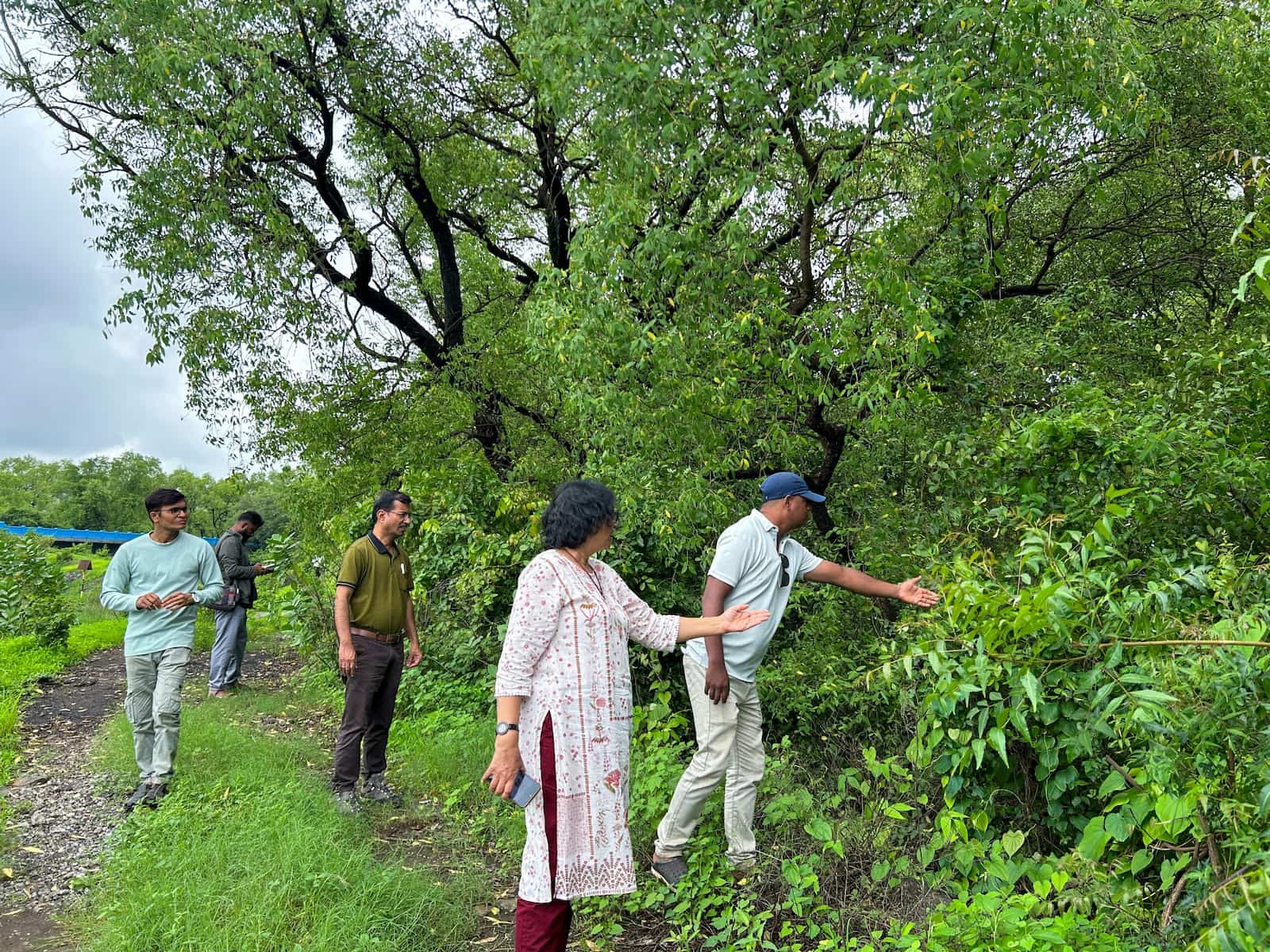 Kailas Gawand (right), a resident of Hashiware, Maharashtra, inspects mangroves in Kurdus with staff from the Applied Environmental Research Foundation. Gawand signed an agreement with the foundation to conserve mangroves that had cropped up after the intrusion of seawater into his farmland (Image: Shalinee Kumari / Dialogue Earth)