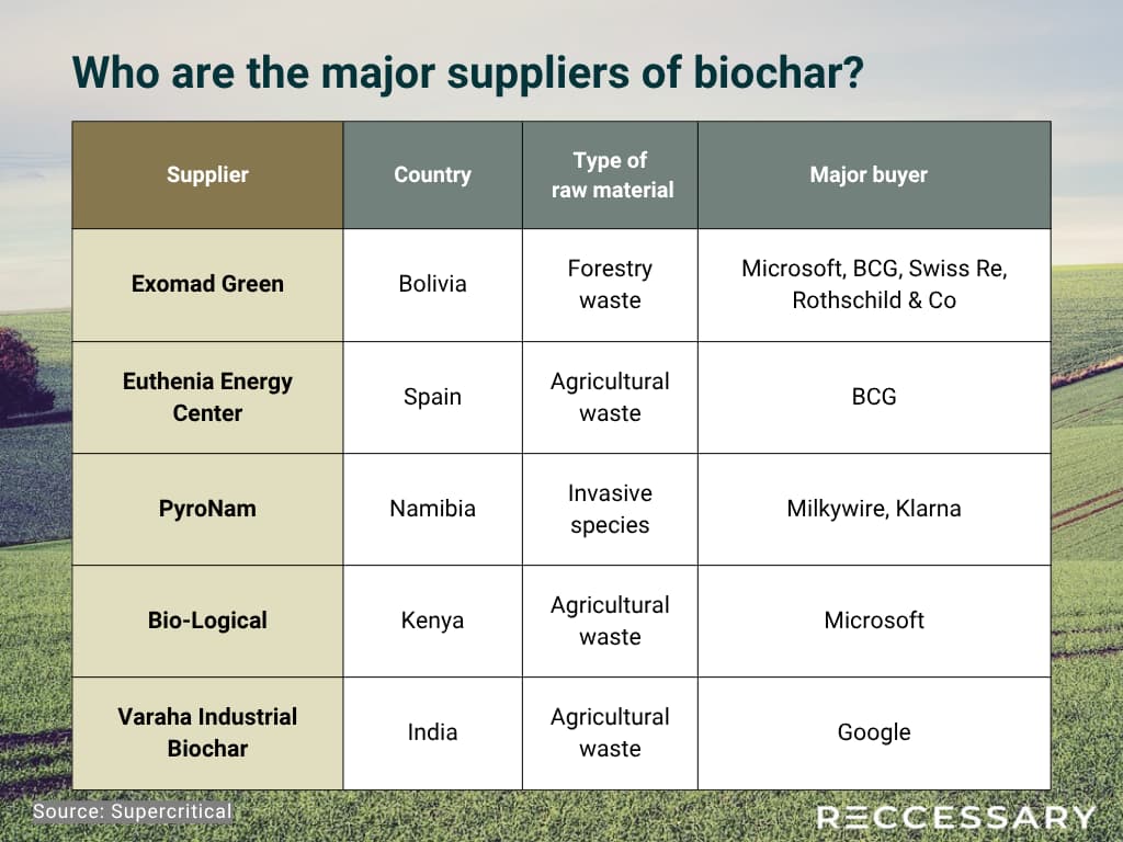 Who are the major suppliers of biochar?