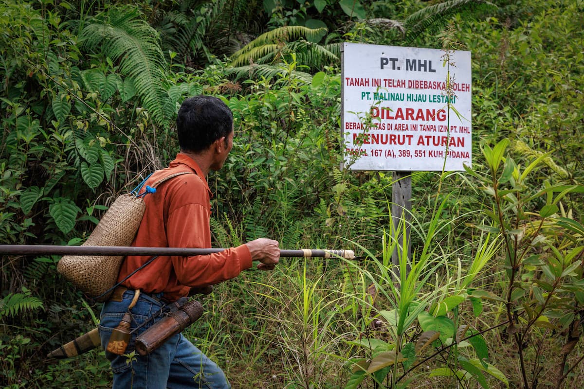 ainforest community resident Ipu Angit leads Mongabay in 2024 to a signpost marking a forest area near his home that an Indonesian company plans to convert into a tree plantation for wood pellet production. Image by Nanang Sujana for Mongabay.