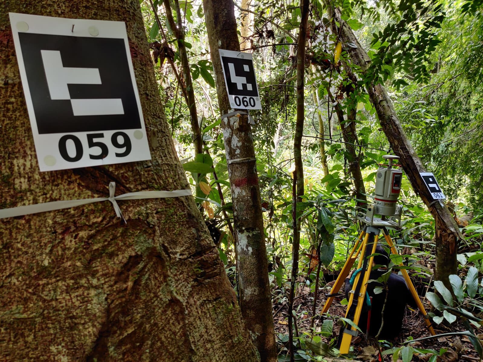 The research team set up dataloggers in forests across Southeast Asia to measure temperature 15cm above the forest floor. Image courtesy of Eduardo Maeda.