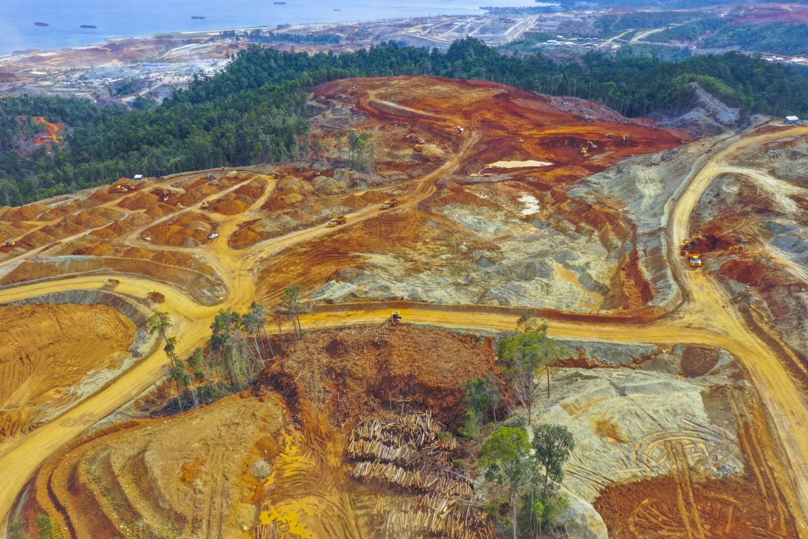 Indonesia plans to centralize exports of coal, palm oil and nickel under a new state-owned trading entity. (Photo: iStock)