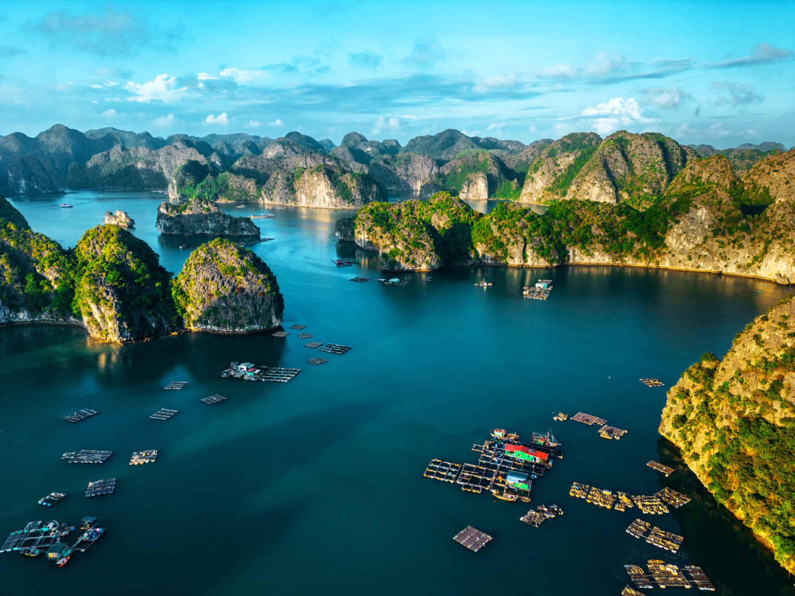 First NbS project unveiled in Quang Ninh: mangrove restoration and water compensation near Ha Long Bay. (Photo: iStock)