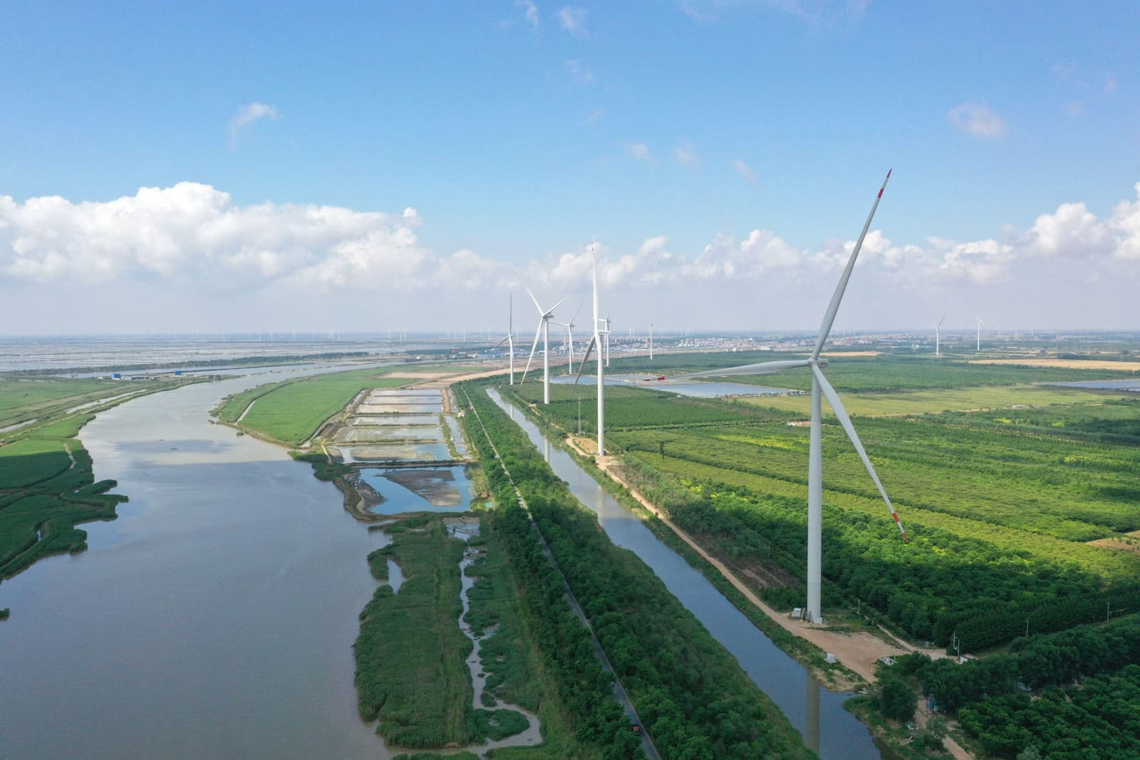 Wind turbines at a low carbon industrial park in Sheyang, Jiangsu province. Industrial parks are estimated to account for nearly a third of China’s emissions, so such parks could be an important step in accelerating the country’s decarbonisation (Image: Xinhua / Alamy)