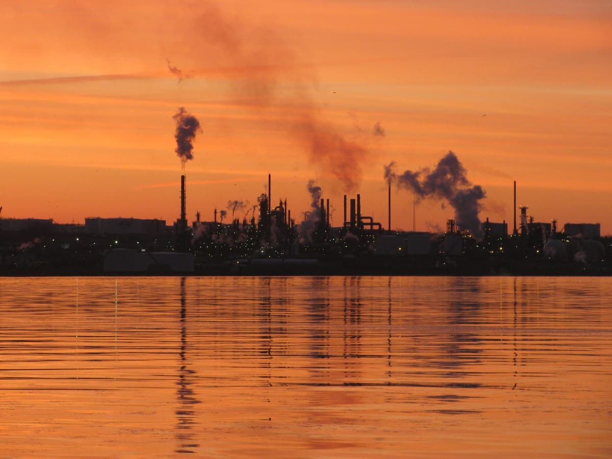 Oil industry giants like Chevron, BP, Shell and TotalEnergies are planning to refit existing oil refineries or build new biofuel plants to produce renewable diesel. A report by the NGO Biofuelwatch describes the spike in renewable diesel (utilizing tallow) as a “fat grab.” Image by Glenn Euloth via Flickr (CC BY-NC-ND 2.0).