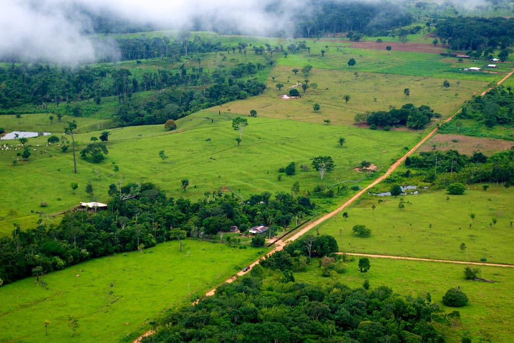 A cattle ranch in Acre, Brazil, showing deforestation. Beef tallow, essentially cow fat, is in demand as renewable diesel feedstock. In 2022, Brazil’s JBS supplied 450,000 metric tons to RD makers in the U.S., Australia and Canada. A lack of corporate or government traceability obscures whether this tallow is tied to deforestation, says André Campos, research manager at Repórter Brasil. Deforestation has been a chronic issue with JBS. Image by Kate Evans/CIFOR via Flickr (CC BY-NC-ND 2.0).