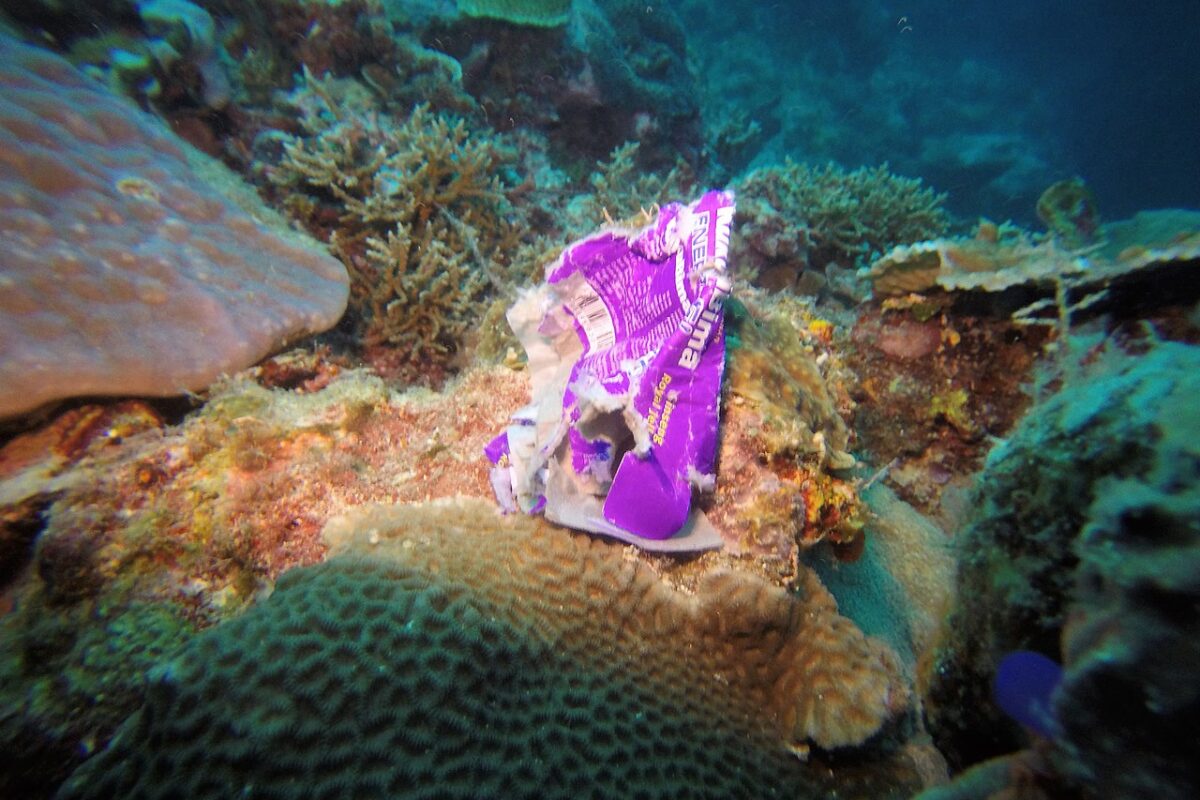 Marine debris is one of the most problems in Indonesian ocean. Image courtesy of Mudasir Zainuddin/Wikimedia Commons.