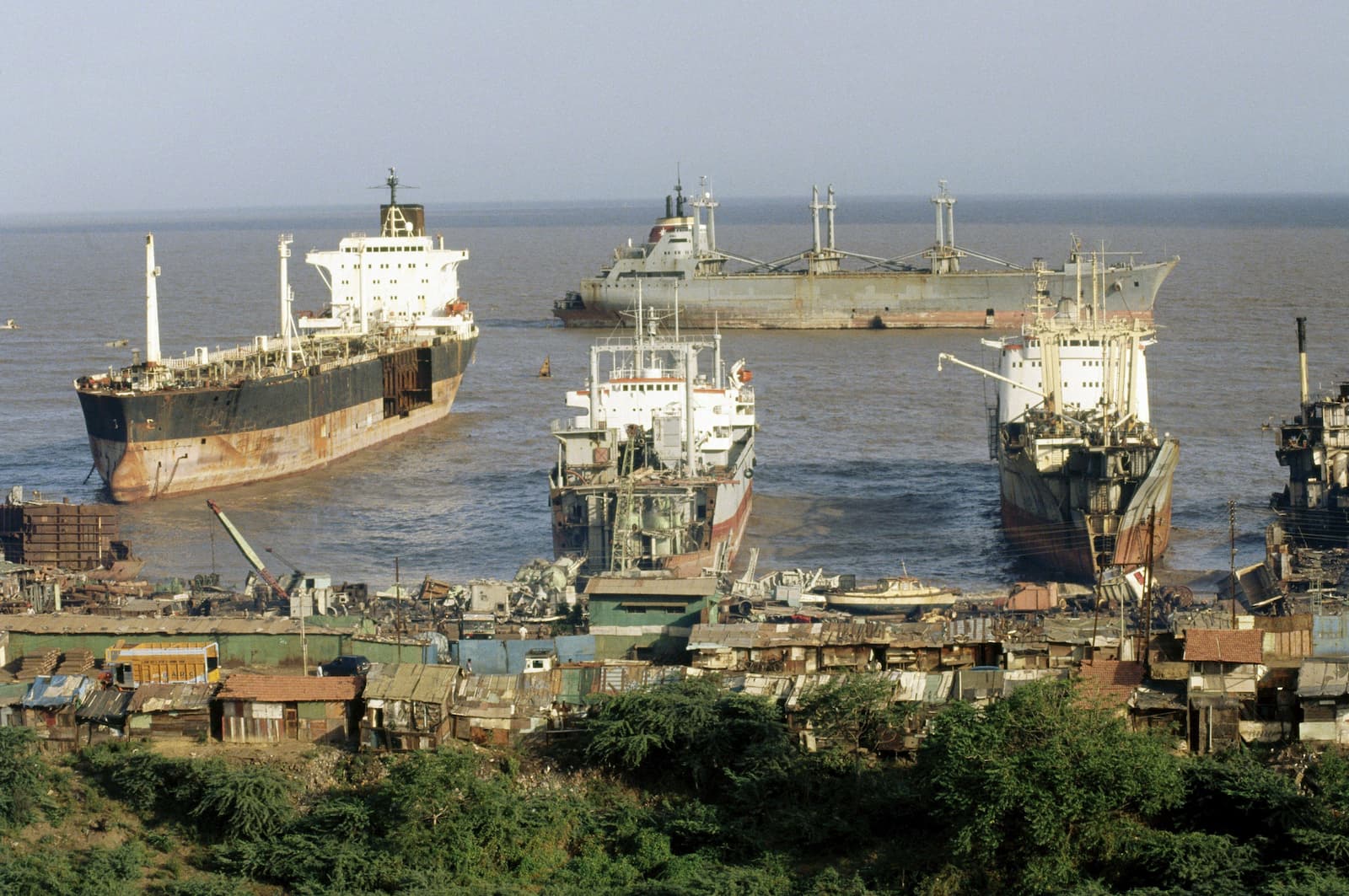 Shipyards in Alang, India, could handle many more vessels than they currently receive, one yard boss told Dialogue Earth (Image: imageBROKER.com / Alamy)
