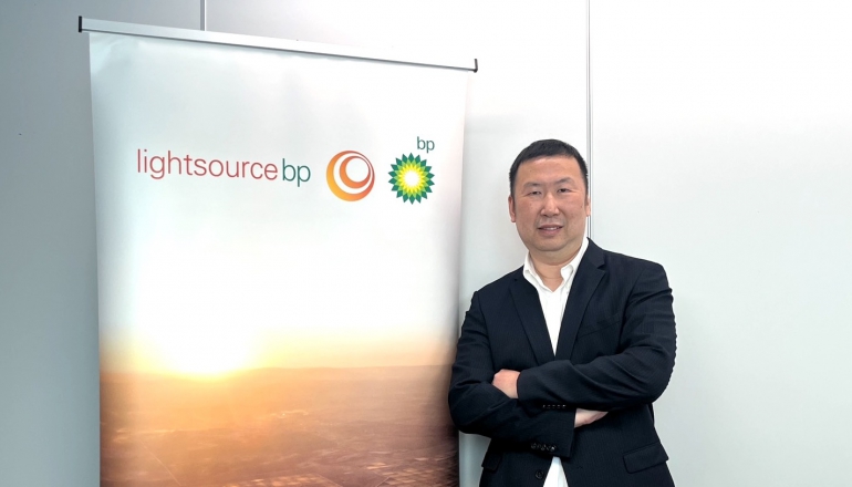 BP subsidiary sees solar market reset as new rules push agri-solar back to professional development