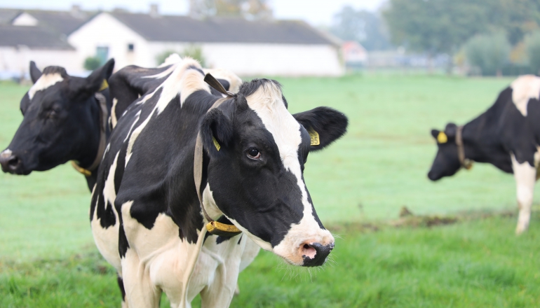 Global energy sector emits 70% more methane than they report: IEA