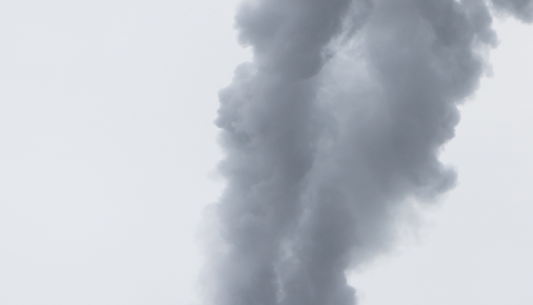Indonesia, PNG restrictions may stifle carbon credit market