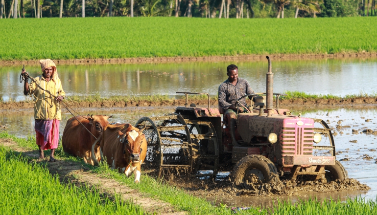 China’s farmers can now earn money with ‘carbon tickets’
