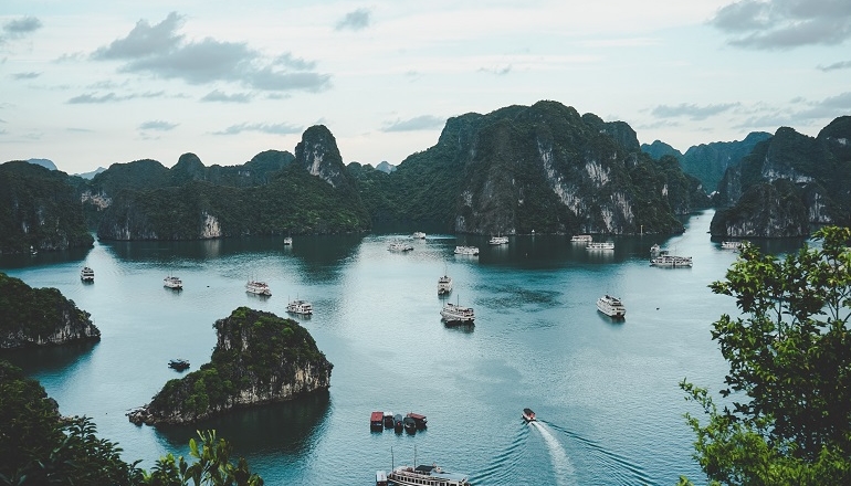 Vietnam needs financial, technical assistance to achieve net zero target