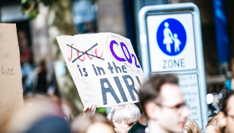 Large corporations fund their own carbon credit projects
