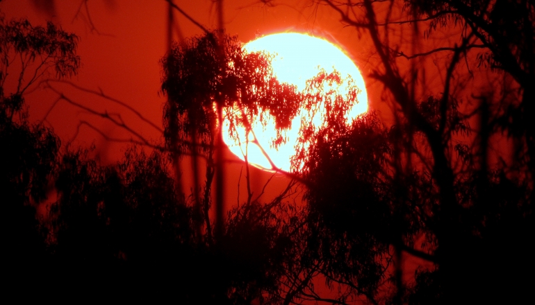 Extreme heatwave in Southeast Asia sparks concerns over surging energy demands