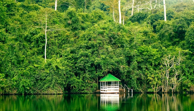 Tanzania carbon credit projects draw $20B: the growing value of Africa