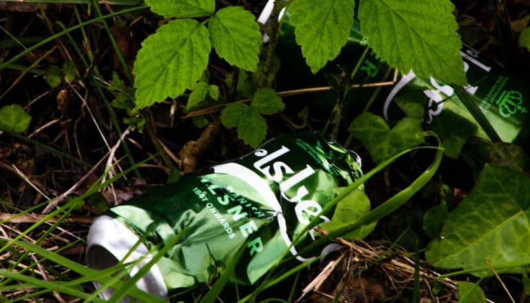 Berverage giant Carlsberg, Britvic both sign their solar PPAs