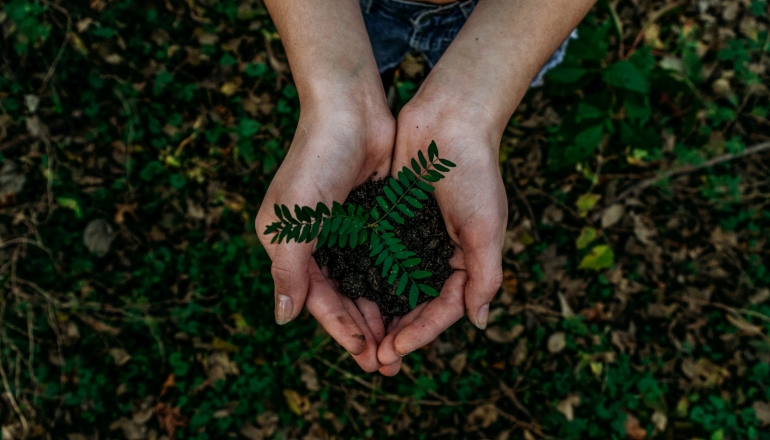 The huge potential and viability of carbon credit trading in ASEAN