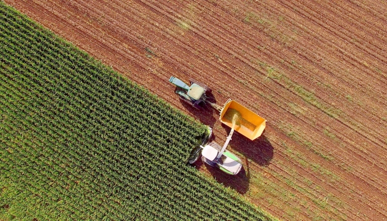 Food producers switch to greener fertilizers to cut carbon footprints