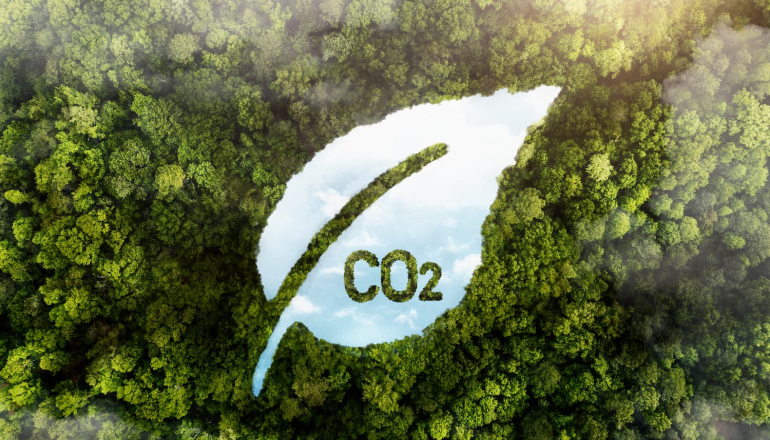 氣候專家籌資千萬美元 成立全球首間碳權保險公司