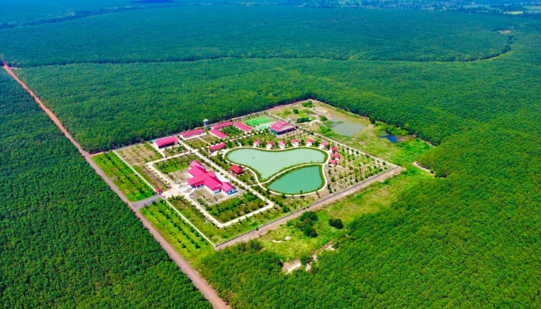 Vietnam Rubber Group evaluates rubber forest carbon for commercialization