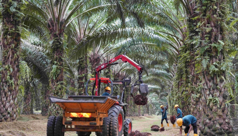 Johor Plantation Group to raise $156 million in IPO to fund green initiatives
