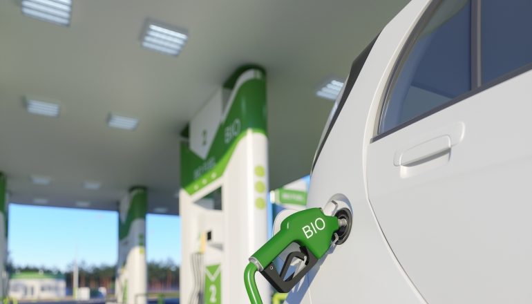 Beyond solar and wind: How bioenergy is quietly fueling green revolution