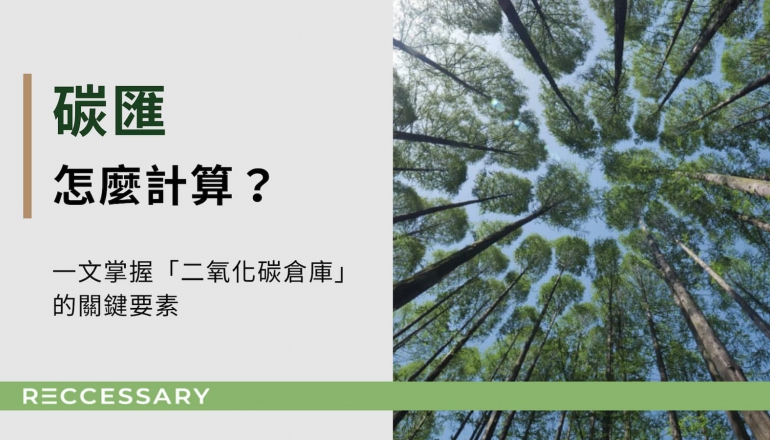 【圖解】自然碳匯有哪些？如何轉換碳權？一文掌握「二氧化碳倉庫」的關鍵要素