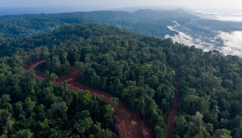 Indigenous community slams Cambodia REDD+ project over rights violations in Cardamoms