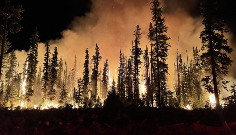 Innovators battling wildfires with AI, drones & fungi get $50k grants to scale up